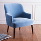 Briony Accent Chair