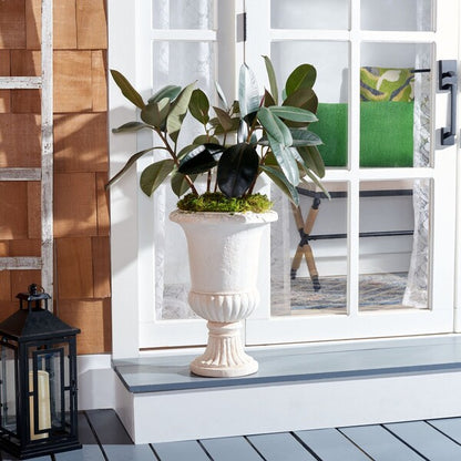 Paul Planter